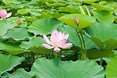 《刺客信条：英灵殿》PC更新即将上线：7GB